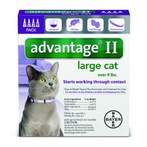 Advantage II for large Cats (Over 9 lbs, 4 Month Supply)