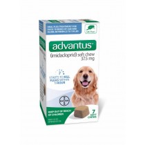Advantus 37.5mg Soft Chews Oral Flea for Dogs (23 - 110 lbs, 7 Count)