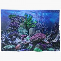 BioBubble 3D Background Coral Reef 20 gallons 24" x 12" - BIO-17167300