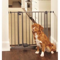 North States Slide-Step and Open Wall Mounted Steel Gate 31.25" - 38.5" x 29" - NS4925