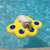 Paws Aboard Doggy Lazy Raft Yellow