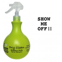 Pet Head Dry Clean Spray Shampoo Blueberry Muffin 15oz – PH10301