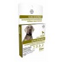 Bayer Quad Dewormer for Large Dogs 45 lbs and Above, 2 Count