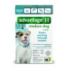 Advantage II for Medium Dogs (11 - 20 lbs, 6 Month Supply) Front