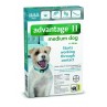 Advantage II for Medium Dogs (11 - 20 lbs, 6 Month Supply) Right