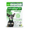 Advantage II for Small Dogs (3 - 10 lbs, 6 Month Supply) Front