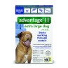 Advantage II for Extra Large Dogs (Over 55 lbs, 6 Month Supply) Front