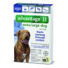 Advantage II for Extra Large Dogs (Over 55 lbs, 6 Month Supply) Left