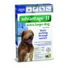 Advantage II for Extra Large Dogs (Over 55 lbs, 6 Month Supply) Right